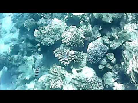 Castel Beach Under the Sea