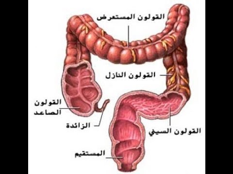 وصفات طبيعية فعالة لعلاج القولون. علاج القولون . علاج القولون العصبي واضطرابات الجهاز الهضمي