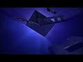 New Line Home Entertainment Logo 2004 2010 60fps