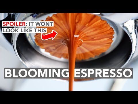 ESPRESSO ANATOMY - Blooming Espresso