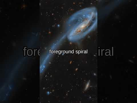 The Tadpole Galaxy from Hubble #shorts