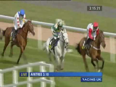 Grand National 2010 totesport Bowl Chase