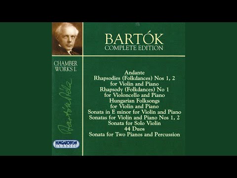 Sonata in E Minor for Violin and Piano: I. Allegro moderato