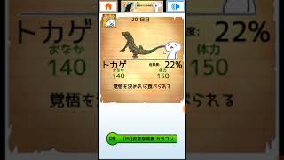 やらんでも分かる。ヤバイ奴やん