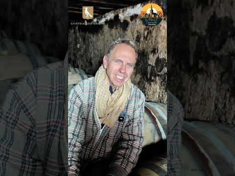 Château de Gaure, Pierre Fabre Artiste Vigneron