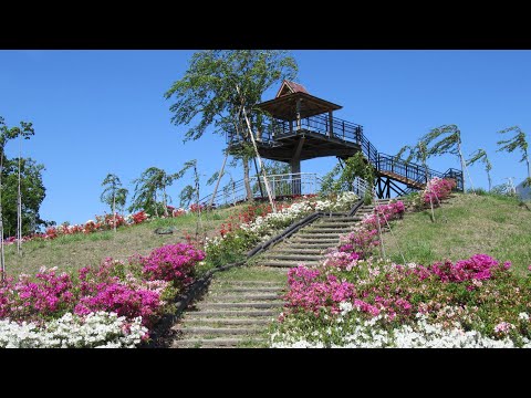 身延空中散歩～クラフトパークつつじ～