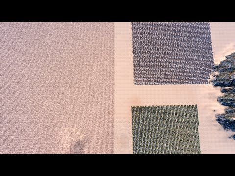 RICARDO MILOS AND SHREK FIGHTS UGANDAN KNUCKLES ARMY - Ultimate Epic Battle Simulator UEBS