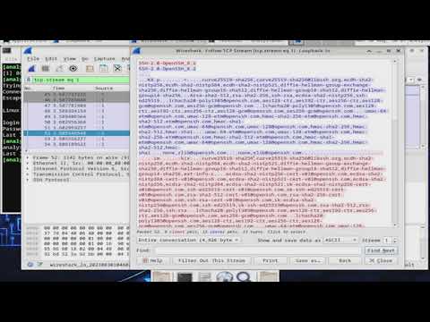 Lab Examining Telnet & SSH