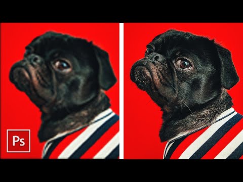 Курс Фотошоп с Нуля 1 Создание документа Основы интерфейса Навигация