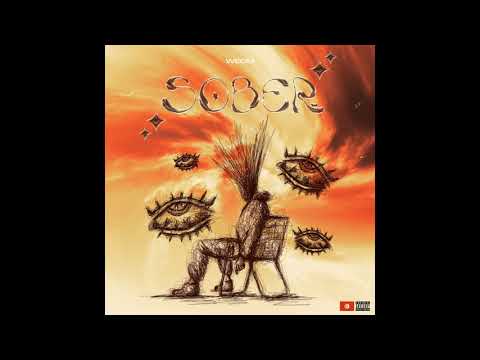 WECIM - SOBER
