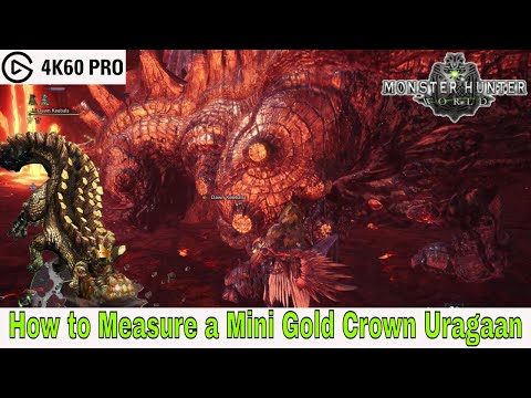 Monster Hunter: World - How to Measure a Mini Gold Crown Uragaan Video