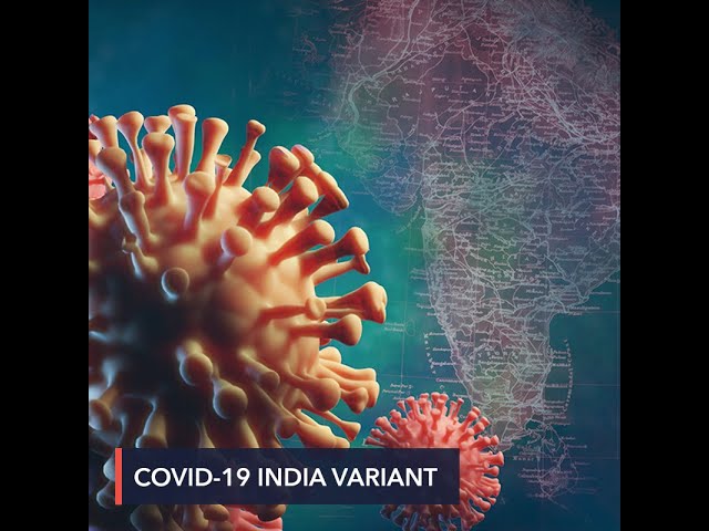 What we know so far about new COVID-19 variant found in India