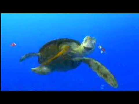 مشهد من فيلم نيمو روعة بجد.3gp هنا hana