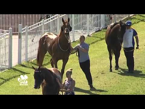 ASCOT 25 NOV 15, RACE 5 - VEGA MAGIC - MR SEAN CASEY & JAKE CASEY