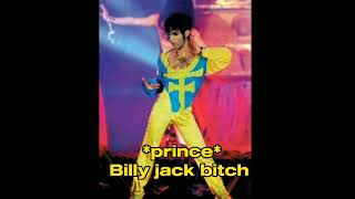 Karaoke in the style of prince- Billy jack bitch (instrumental)