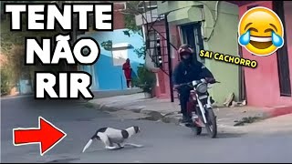 TENTE NÃO RIR 😂 OS MEMES MAIS ENGRAÇADOS DA INTERNET#videosengracados #tentenaorir #memes #comedia