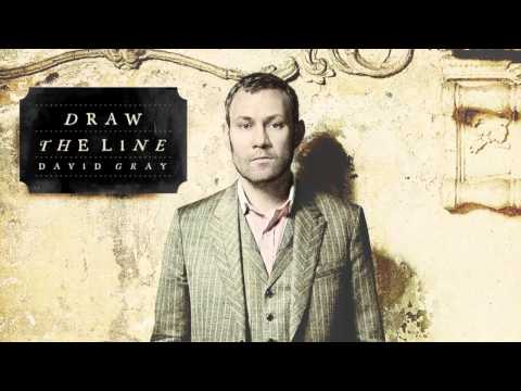 David Gray - Jackdaw (Official Audio)