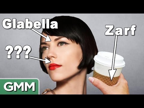 15個你不知道的東西有名字的詞組 (15 Words For Things You Didn't Know Had Names)