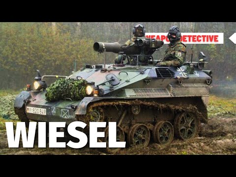 Wiesel | They ask me why I'm bringing a baby into battle