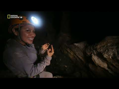 Maják: Ősi titkok nyomában. 1080p