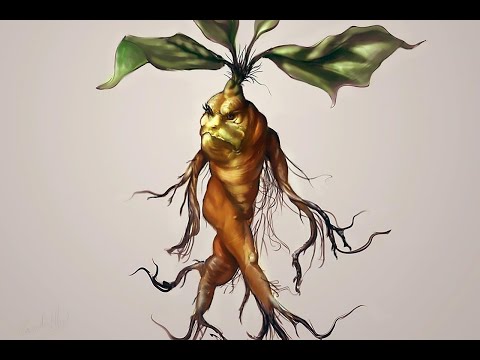 Alraune - Hanns Heinz Ewers | ganzes Hörbuch deutsch