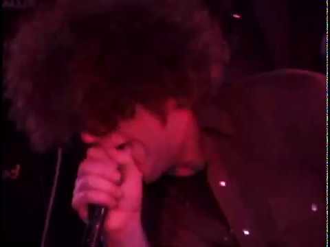 ZEN GUERILLA MID EAST DOWN