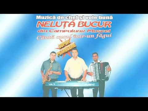 Neluta Bucur - Pleaca ziua, noaptea-i rece [Official Audio]