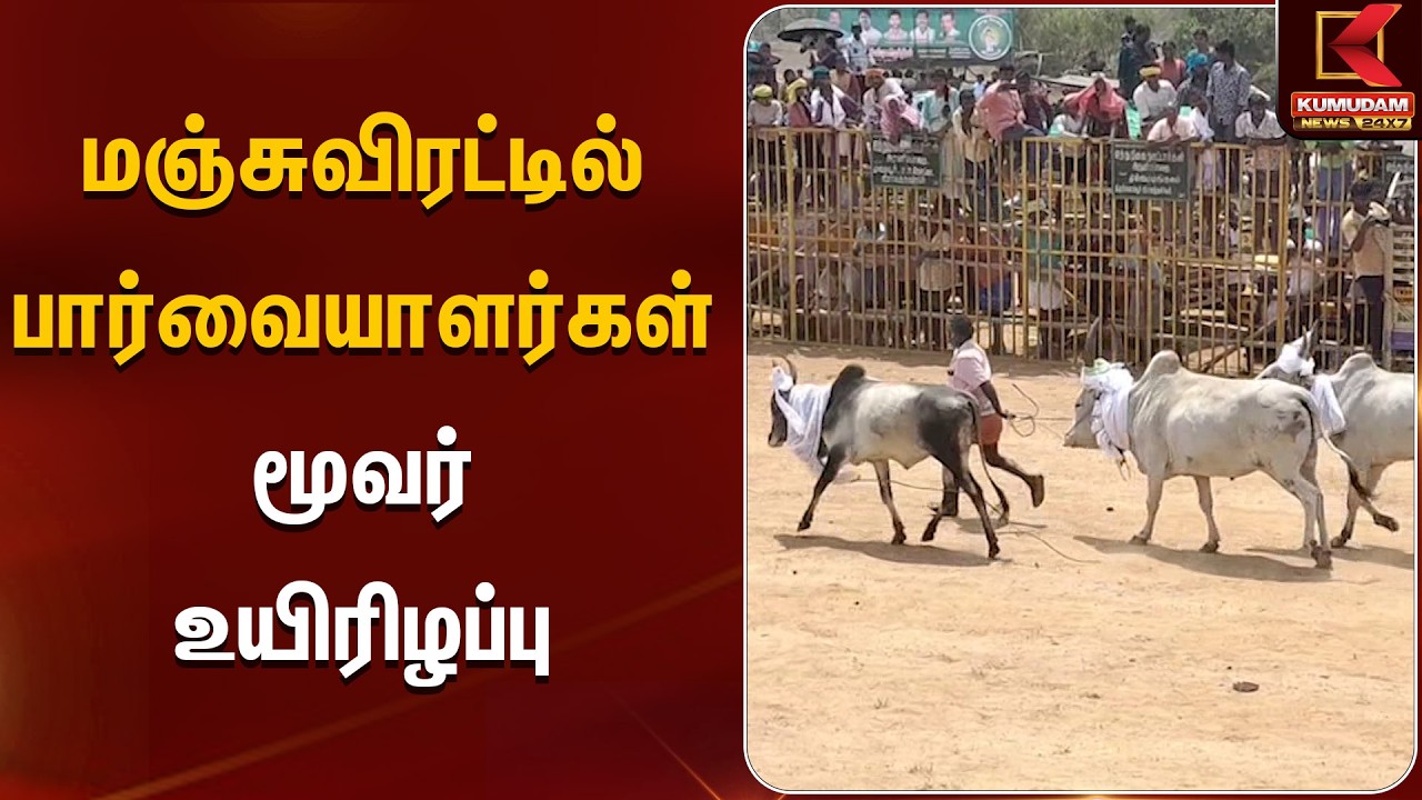மஞ்சுவிரட்டில் பார்வையாளர்கள் மூவர் உயிரிழப்பு | Jallikattu | Tamil Tradition | Kumudam News