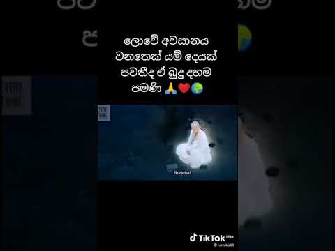 monkey  king vs budda