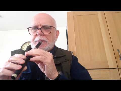 Irish slip Jigs. Whistle . Brendan McAuley.