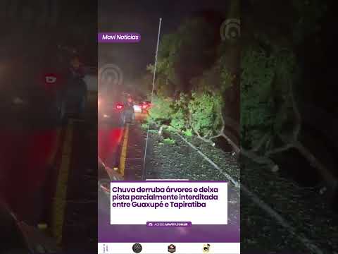 Chuva derruba árvores e deixa pista parcialmente interditada entre Guaxupé e Tapiratiba