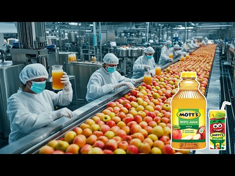 How Apple Juice Is Made In Factory 🍎🍏