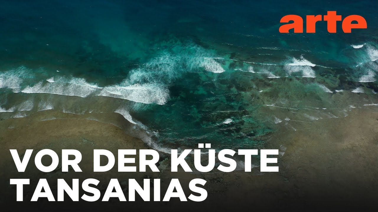 Die Bucht von Chwaka, Sansibar | Mal Meer, mal Land | ARTE Family