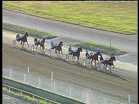 Trotto 08/07/2017 - 1ª prova di qualifica