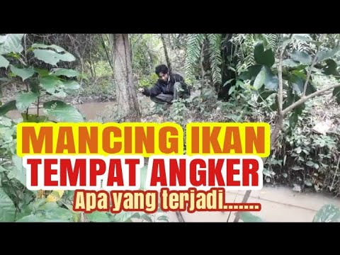 MANCING IKAN KE TEMPAT ANGKER (PANCING)