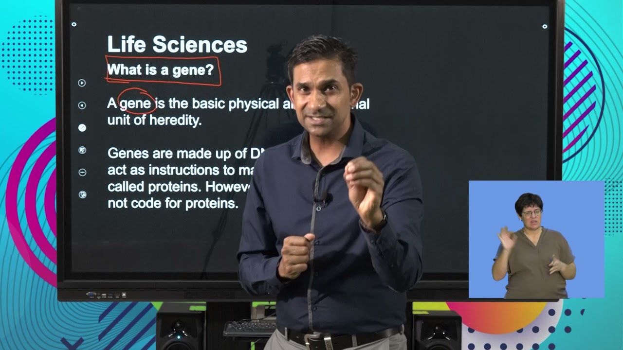 Life Sciences DNA Role And Replication