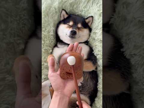 Manyu ASMR | First Immersive SPA of 2025