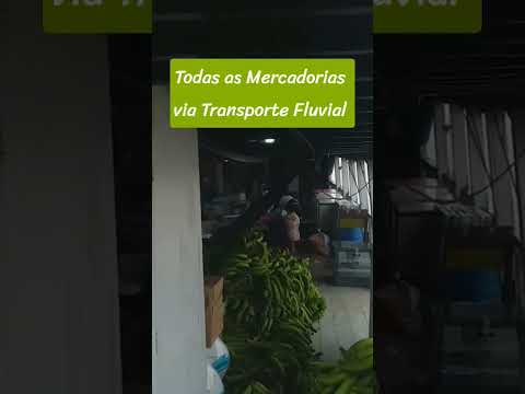 Transporte Fluvial entre Humaitá e Manicoré - AM  🛥️