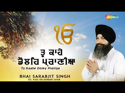 ਤੂ ਕਾਹੇ ਡੋਲਹਿ ਪ੍ਰਾਣੀਆ - Tu Kaahe Doley Praniya - Bhai Sarabjit Singh - Hz. Ragi Sri Darbar Sahib -HD
