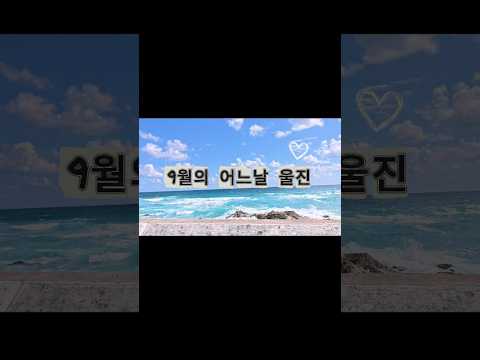 울진 해안 드라이빙 #울진 #여행