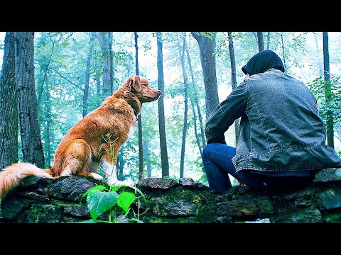 Глазами пса (2025) — трейлер фильма №2
