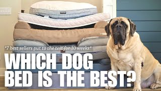Which is the Best Dog Bed for Large Dogs? | 7 Most Popular B