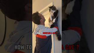 Download lagu 4 Ways to Discipline Your Cat 😎🏅  #cats #fact mp3