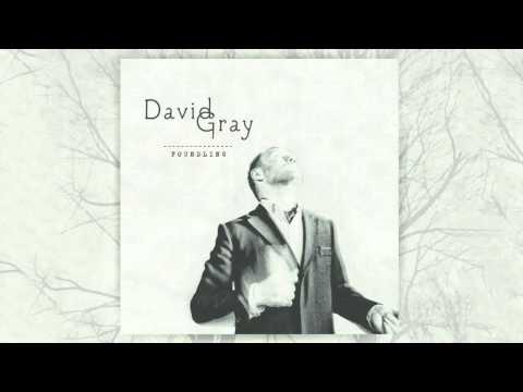 Forgetting - David Gray