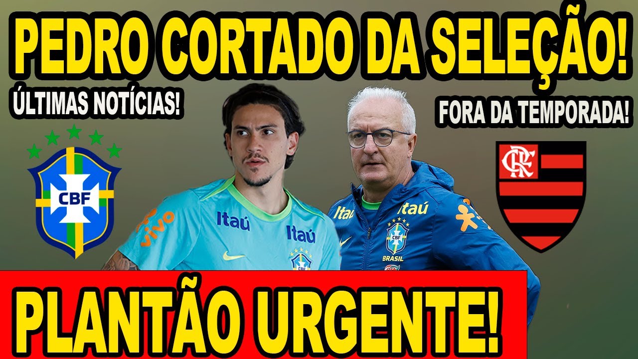PLANTÃO URGENTE! PEDRO CORTADO DA SELEÇÃO! JOGADOR FORA DA TEMPORADA NO FLAMENGO! ÚLTIMAS NOTÍCIAS!