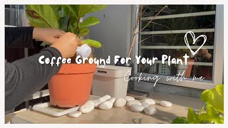 Coffee Ground Fertilizer • Grow More Plants • Sayur Hasil Tanaman Pertama | Cook With Me✨