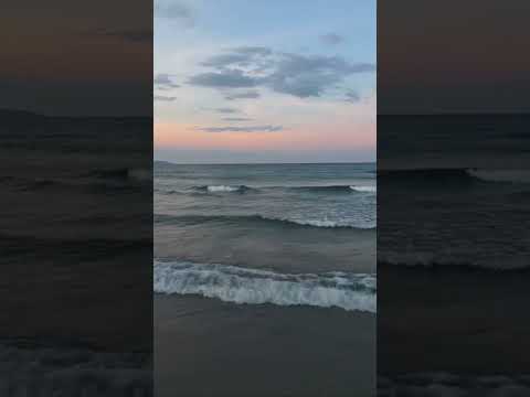 so beautiful 😍 is the best nature #shortvideo #shorts