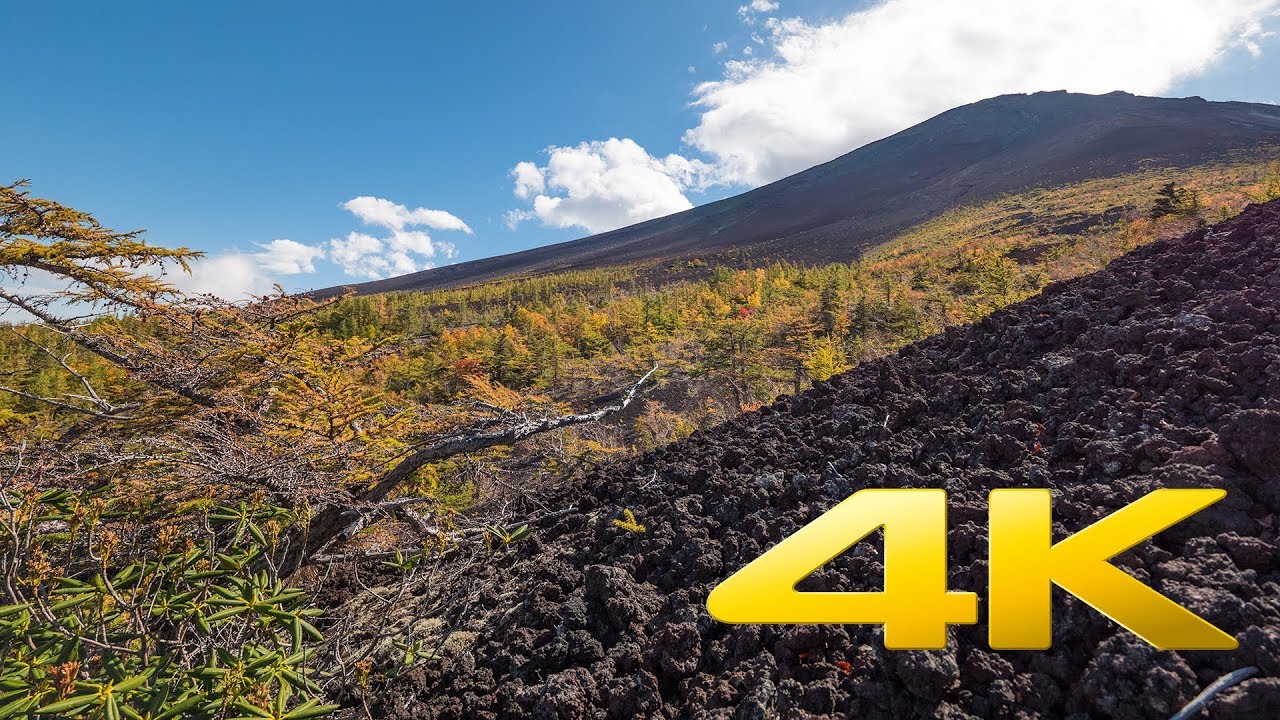 Fuji 5th Station autumn colors