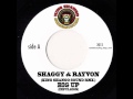 Shaggy & Rayvon Big up King Shango RMX 