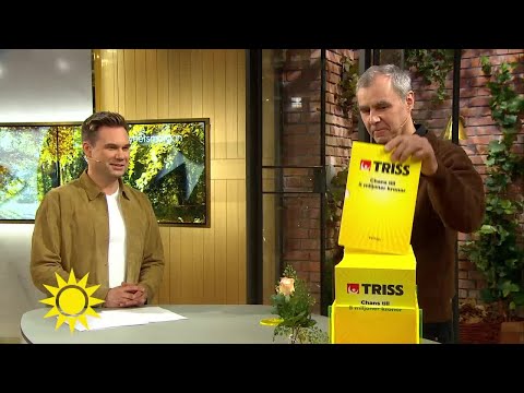 Leif fick skrapa Triss i tv: "Trodde inte det var sant" - Nyhetsmorgon (TV4)
